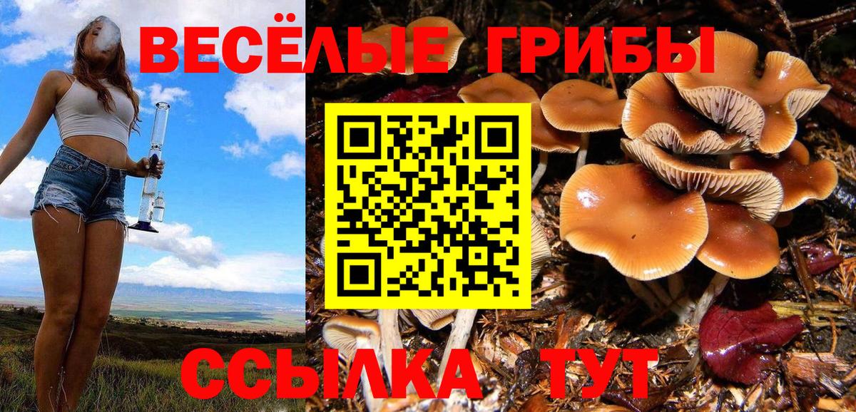 Галлюциногенные грибы ЛСД  Вход с VPN  Крымск 